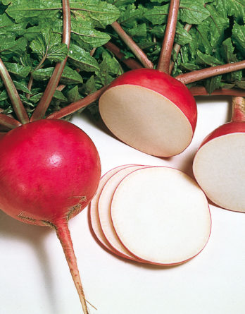 radis rouge (500 g)