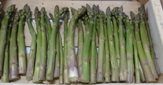asperge verte (500g)