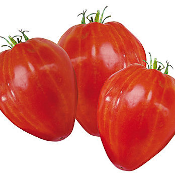 coeur de boeuf (kg)