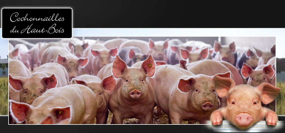 fiche commande viande de porc